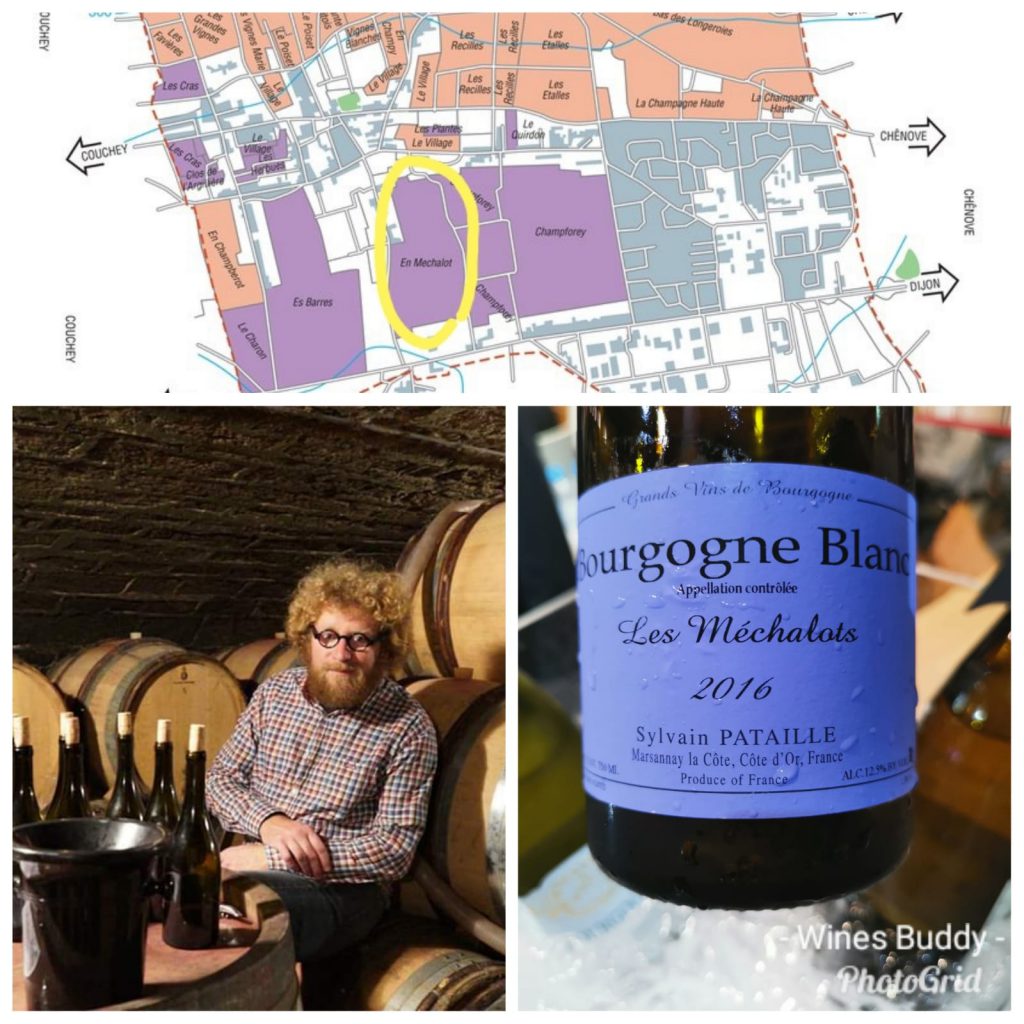 Bourgogne Blanc Mechalots - Domaine Sylvain Pataille